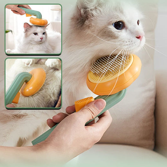 Brosse chat