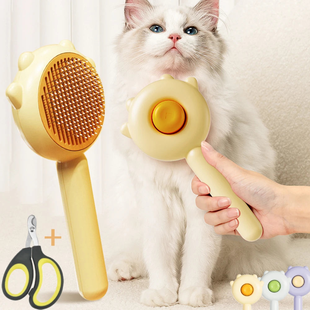 Brosse chat